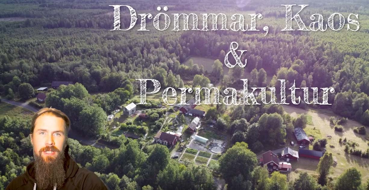 Erfarenheter och lärdomar av livet som självhushållare