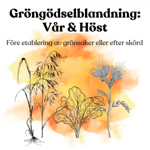 Gröngödslingsblandning: Vår & höst