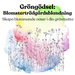 Blomsterträdgård Fröblandning